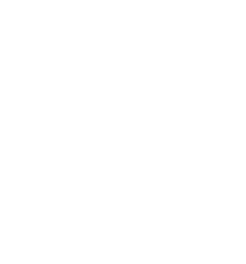 Usf logo